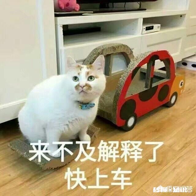 如何看待碧桂园集团下发的项目高周转，一天内要出设计图的文件