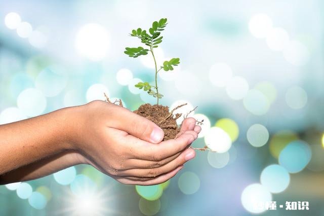 对自己的生活很迷茫，很苦恼，陌生人，能给我说几句安慰的话吗