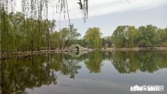 生活中哪些事情彻底改变了你