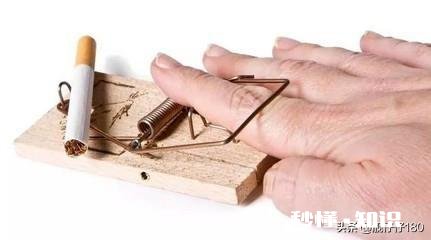 不赌的人，他的人生是怎么样的