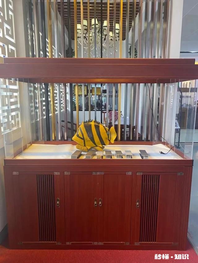 底滤如何做原生态鱼缸