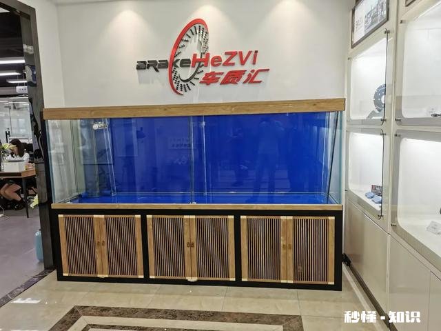 底滤如何做原生态鱼缸