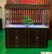 底滤如何做原生态鱼缸