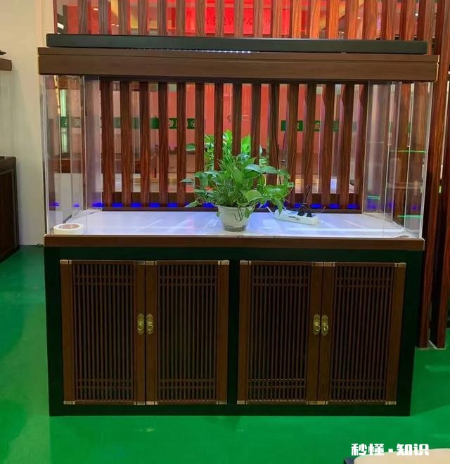 底滤如何做原生态鱼缸