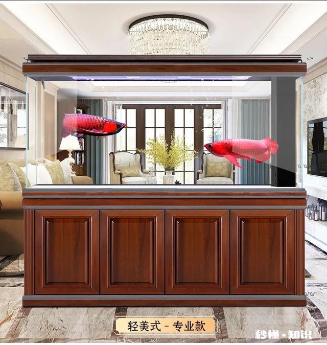 底滤如何做原生态鱼缸