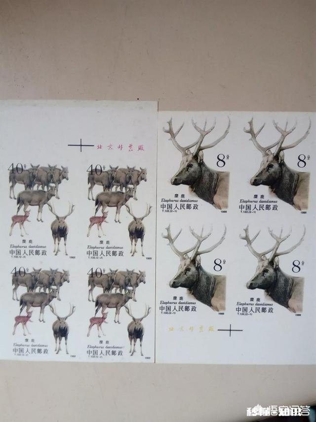 有人送了一套邮票，齿边这样正常吗