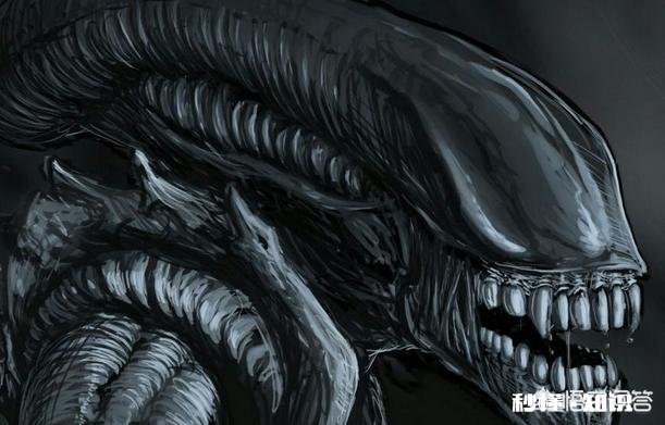 电影投资影片成本是否越高越好