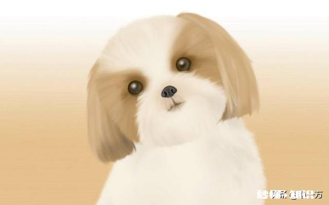 有人说狗通人性，是不是能通过内分泌学闻出你的情绪