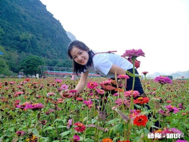 你用哪些美女当手机封面