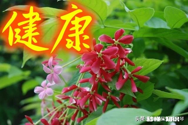 疫情期天天待家里最想吃什么