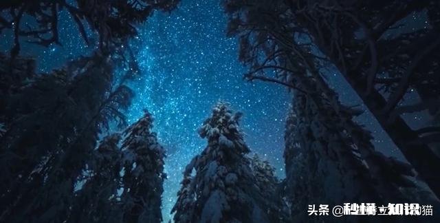 有什么是你回过头来觉得在育儿过程中「幸好做过」的事