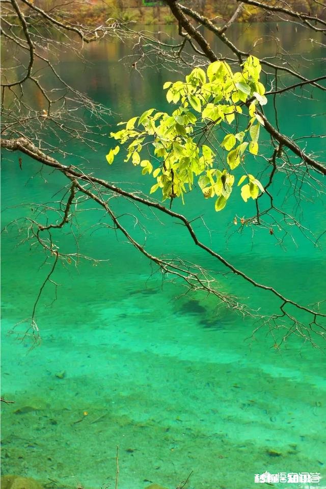 人活着不经过岁月的历练，怎么能成长你怎么看