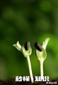 人活着不经过岁月的历练，怎么能成长你怎么看