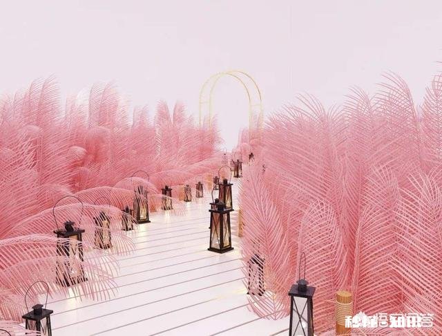 云南有哪些网红打卡拍照圣地