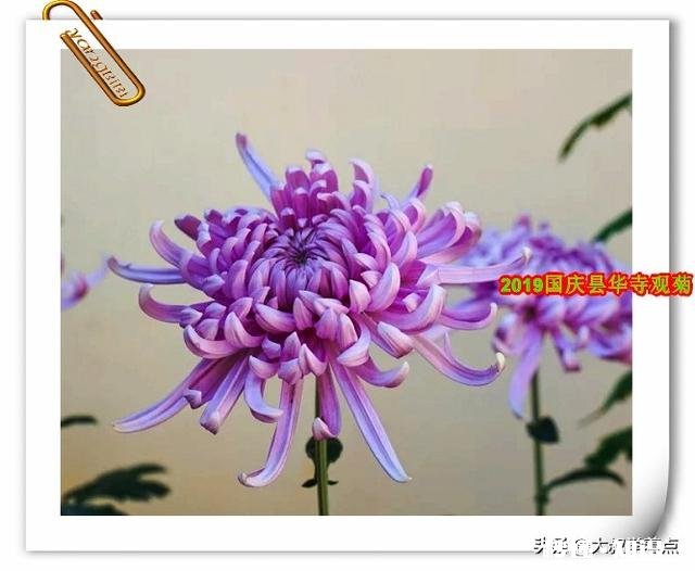 云南有哪些网红打卡拍照圣地