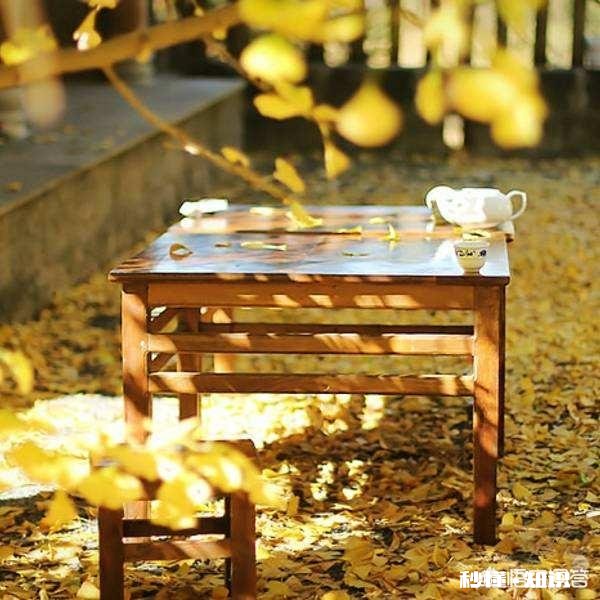 云南有哪些网红打卡拍照圣地