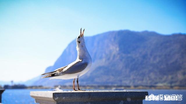 云南有哪些网红打卡拍照圣地