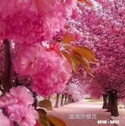 云南有哪些网红打卡拍照圣地