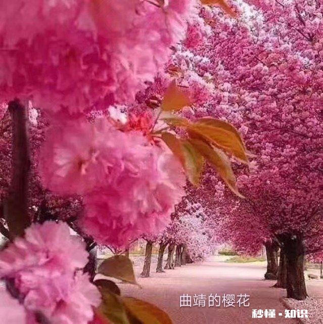 云南有哪些网红打卡拍照圣地