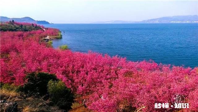 云南有哪些网红打卡拍照圣地