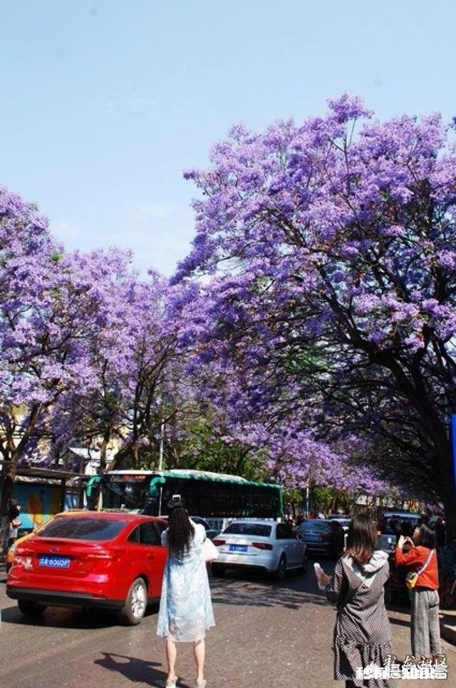 云南有哪些网红打卡拍照圣地