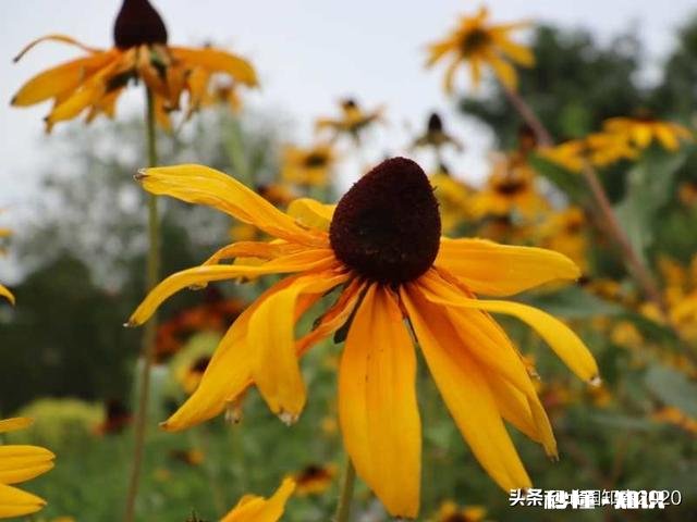 小时候你们被老师体罚过吗家长会去算账吗