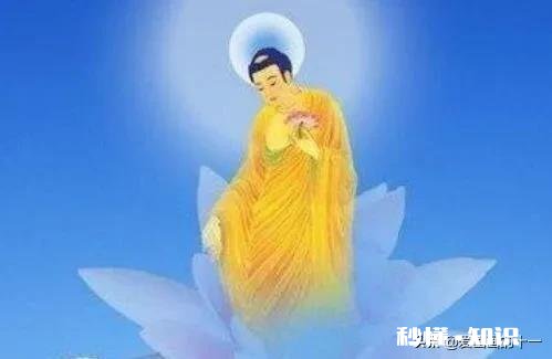 在《西游记》相关的影视作品中，唐僧成佛后的坐骑是什么