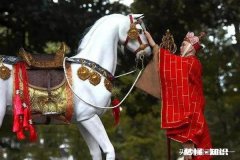 在《西游记》相关的影视作品中，唐僧成佛后的坐骑是什么