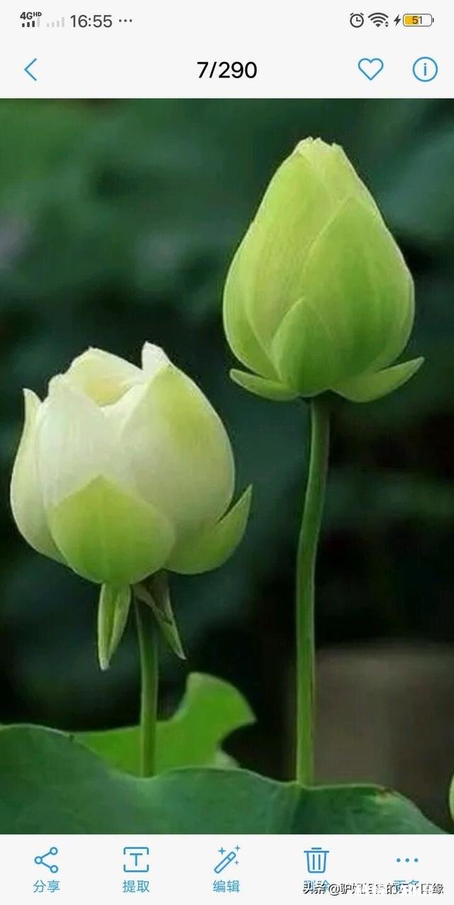 漂亮妻子有漂亮闺蜜，经常串门该如何