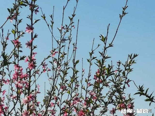 在事业单位里工作，是不是好说话就注定会被领导往“死”了用