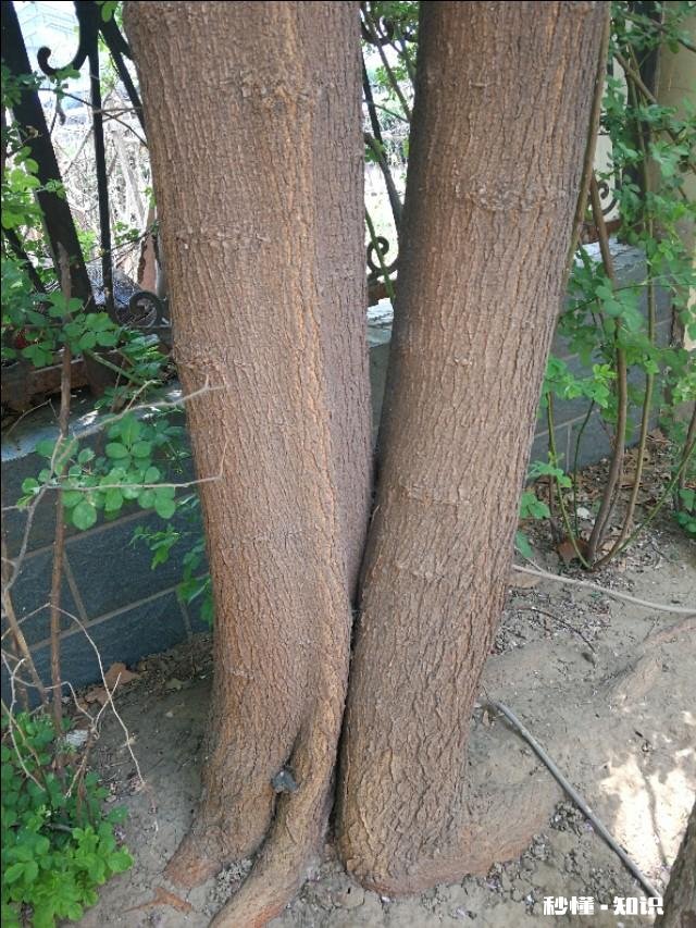 相亲认识了一个男生,谈了一年半。最近他跟我说,爱就是性需求,并且对我没有感情了。我很爱他,我该怎么办