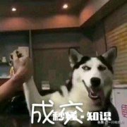 想过年又怕过年，年底了，你还单身吗想不想租个女友回家过年