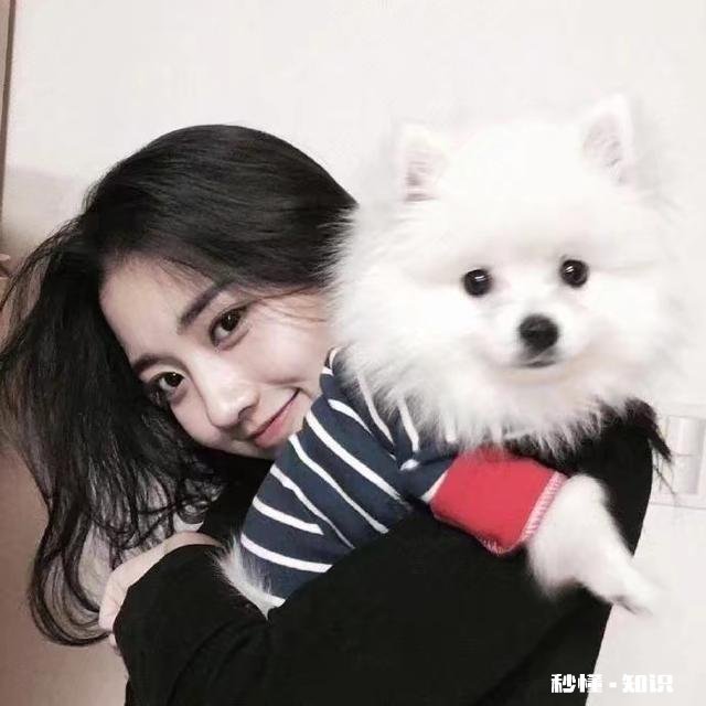 想过年又怕过年，年底了，你还单身吗想不想租个女友回家过年