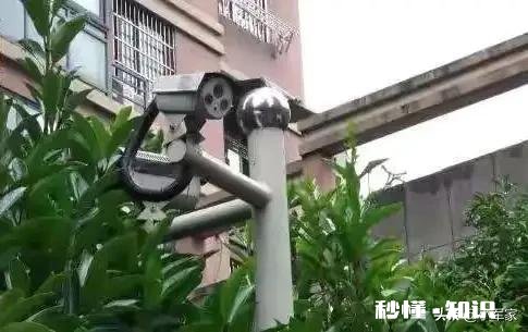 杭州来女士有没有可能是被用氢氟酸腐蚀溶解了?氢氟酸溶解性很强