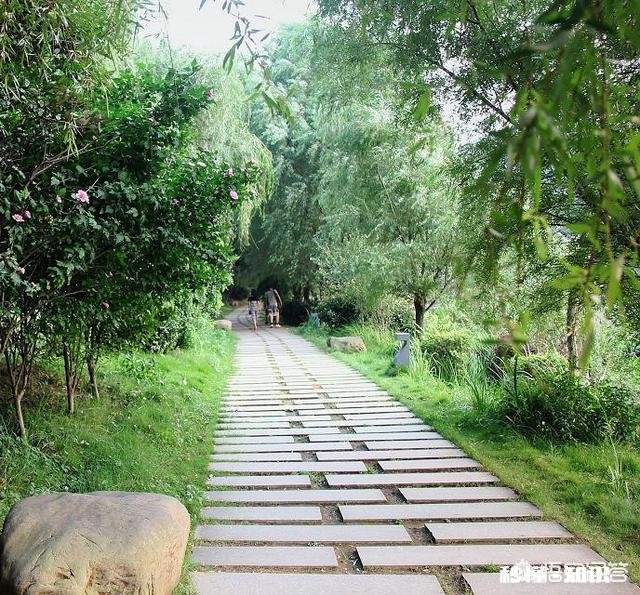 春季外出拍照应该注意哪些事项