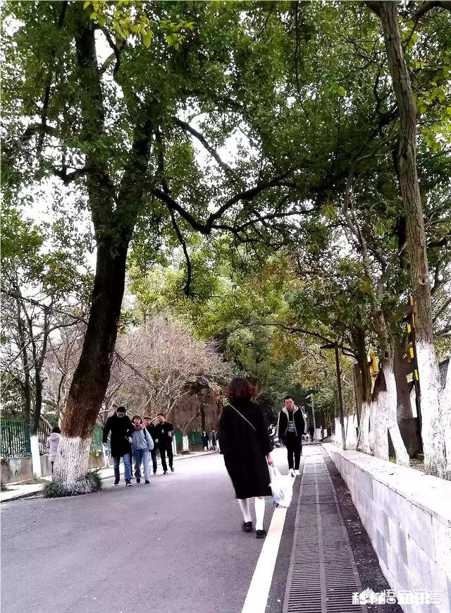 春季外出拍照应该注意哪些事项