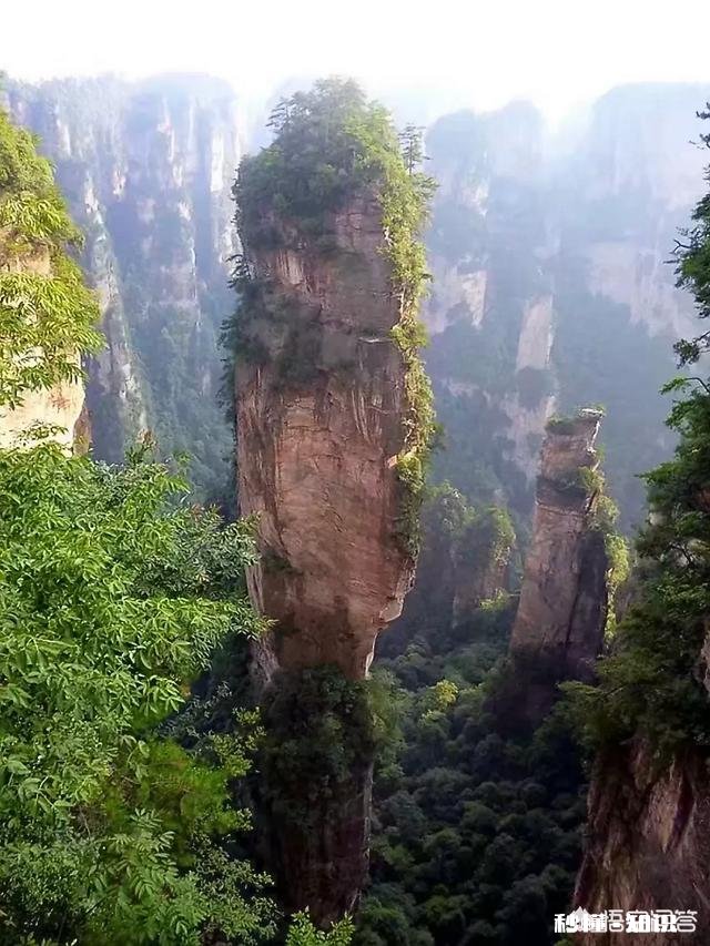 春季外出拍照应该注意哪些事项