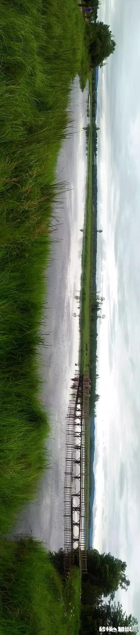 春季外出拍照应该注意哪些事项