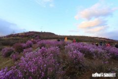 春季外出拍照应该注意哪些事项