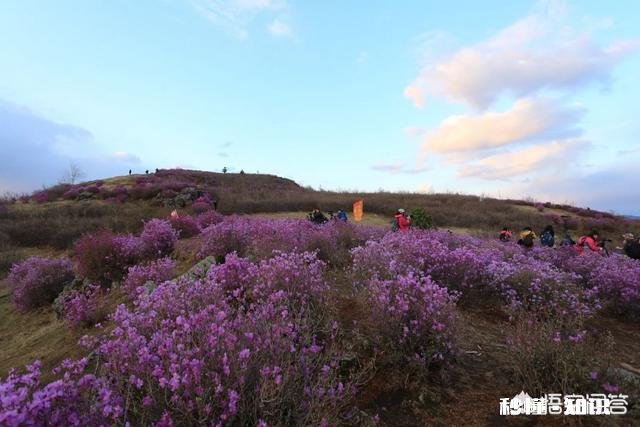 春季外出拍照应该注意哪些事项