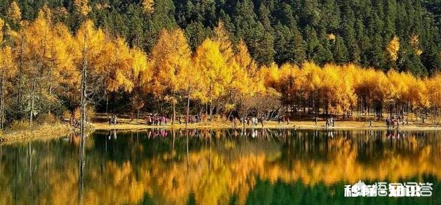 在施工单位工作，如何兼顾家庭和事业