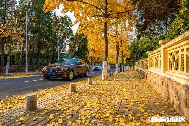 想去青岛玩，主要是想去海边玩，坐火车到青岛站还是北站呢怎么规划路线比较好