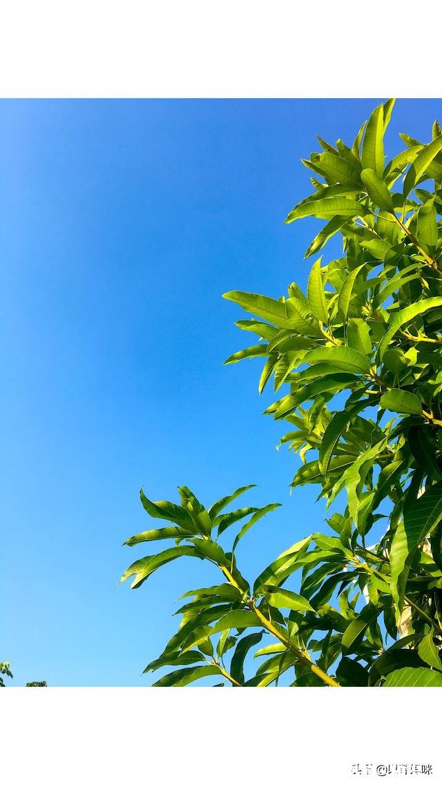 孕妇适合喝胶原蛋白吗