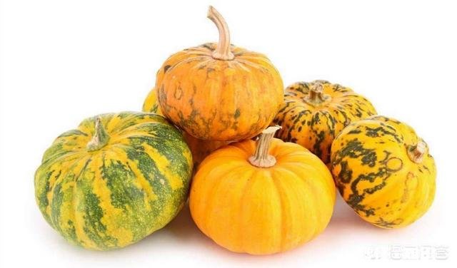 南瓜该怎样储存