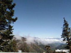 宝宝睡了一晚上突然耳朵就肿了是怎么回事两只耳朵都这样