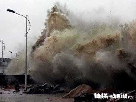 你觉得哪些是夏天独有的景色