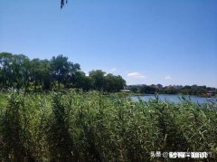 你觉得哪些是夏天独有的景色