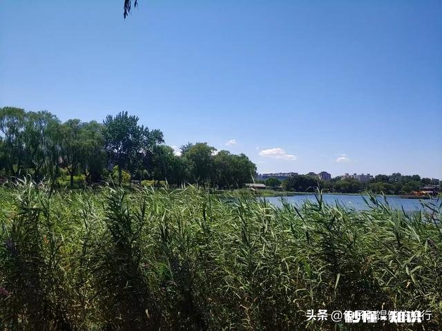 你觉得哪些是夏天独有的景色