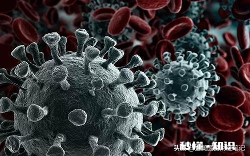 建议世界卫生组织将美国划为重灾疫区国，老铁们觉得可行吗