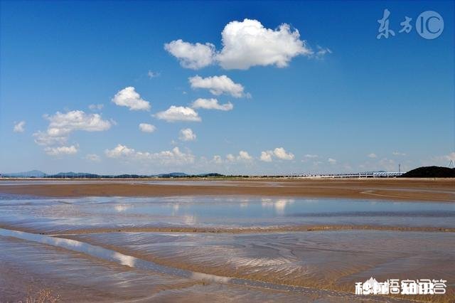 当你因工作抑郁的时候，你会怎么办